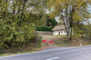 Einfamilienhaus kaufen in 93453 Neukirchen, Neukirchen bei Heiligen Blut - Einfamilienhaus im Außenbereich von 93453 Neukirchen b. Hl. Blut