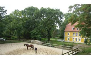 Wohnung mieten in 06188 Landsberg, Wohnen im Rittergut / Landsberg