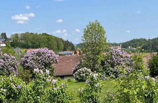 Grundstück zu kaufen in Nussberg 20, 79843 Löffingen, Premium Grundstück in traumhafter Lage
