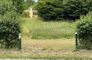 Grundstück zu kaufen in Vierlinden 44, 23684 Scharbeutz, Zwischen Großem Pönitzer See (200 m) und Ostsee (3 km)