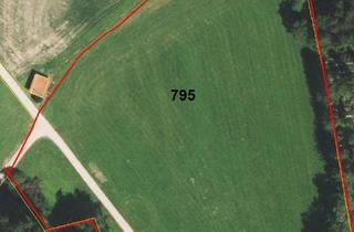 Grundstück zu kaufen in 83137 Schonstett, Grundstück 17.070 m² für landwirtschaftliche Nutzung in Schonstett, Bayern