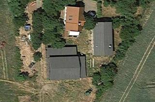 Bauernhaus kaufen in 17429 Benz, Benz - Bauernhof mit 3 (Ferien-)wohnungen, Scheune und landwirt. Flächen
