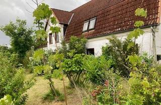 Wohnung mieten in Steinbergerstraße, 24972 Steinbergkirche, Wohnen nahe der Ostsee: 2-Zimmer-Wohnung in Steinbergkirche