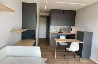 Wohnung mieten in Alfons-Gerstl-Straße 10, 94474 Vilshofen, Modernes, möbliertes Ein-Zimmer-Apartment in Vilshofen an der Donau!