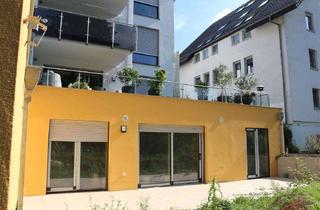 Wohnung mieten in 32105 Bad Salzuflen, Erstbezug: Mietwohnung KFW40 +als Studiowohnung mit Terrasse