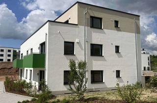Penthouse mieten in 34246 Vellmar, Penthousewohnung, 2-Zimmer, barrierefrei (Erstbezug) in 34246 Vellmar
