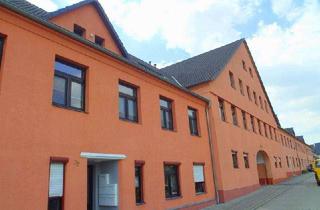 Wohnung mieten in Am Finkenberg 23, 01587 Riesa, Ab sofort zu haben: 2,5-Zimmer-Wohnung mit Terrasse und Laminatboden im Erdgeschoss