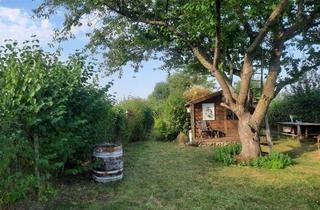 Grundstück zu kaufen in 55271 Stadecken-Elsheim, Gartenparadies für Naturfreunde