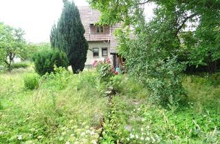 Einfamilienhaus kaufen in 33154 Salzkotten, Solides Einfamilienhaus auf großem Grundstück mit Anbauten in Kernstadtlage Salzkotten