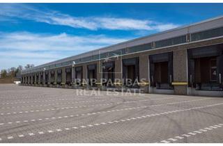 Gewerbeimmobilie mieten in 94315 Hofstetten, Logistikhalle mit Rampentoren und 24/7 Nutzung