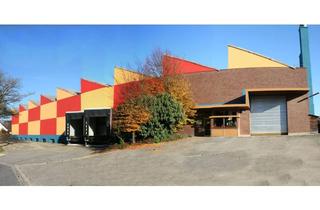 Gewerbeimmobilie mieten in Rindelbacherstraße, 73479 Ellwangen, Halle für Logistik, Handel, Produktion von 500qm bis 6.000qm