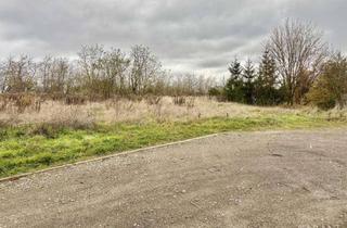 Grundstück zu kaufen in 06268 Querfurt, Idyllisch wohnen am Ende einer ruhigen Straße: Traumhaftes Baugrundstück bei Querfurt