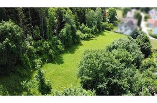 Grundstück zu kaufen in 84174 Eching, Sonnengrundstück - Aussichtslage - Rarität