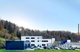 Büro zu mieten in 78628 Rottweil, Exklusive Büroetage mit Sonnenterrasse im Gewerbepark Neckartal