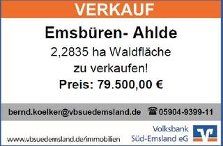 Immobilie kaufen in 48488 Emsbüren, 2,2835 ha Waldfäche