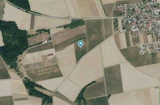 Immobilie kaufen in 93336 Altmannstein, Ackerfläche in Pondorf (25.580 m²)