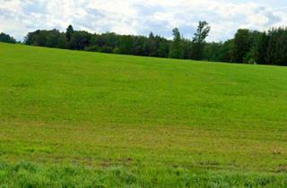 Gewerbeimmobilie kaufen in 82346 Andechs, Verkaufe 3,08 ha Grünland in 82346 Machtlfing (STA)