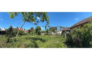 Grundstück zu kaufen in 67133 Maxdorf, Sofort bebaubar: Attraktive Baulücke mit Privatweg in Maxdorf sucht Bauherrn