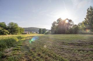 Grundstück zu kaufen in 88356 Ostrach, Großzügiges Grundstück mit Riedblick in ruhiger Lage
