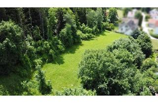 Grundstück zu kaufen in 84174 Eching, Sonnengrundstück - Aussichtslage - Rarität