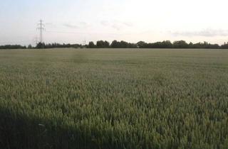 Gewerbeimmobilie kaufen in 38820 Halberstadt, 125 ha Ackerland Raum Halberstadt -Magdeburg