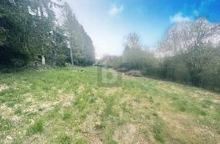 Grundstück zu kaufen in 75365 Calw, FREIZEITGRUNDSTÜCK AM NATURSCHUTZGEBIET