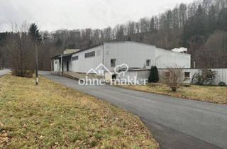 Geschäftslokal mieten in 09518 Großrückerswalde, Lagerhallen bis 2.000m2 / teilbar ab 100m2 / Produktion / Büroflächen / zur Miete 2,00€ - 3,50 € qm