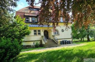 Wohnung mieten in 02727 Neugersdorf, Single Wohnung in einer Villa umgeben von Grün.