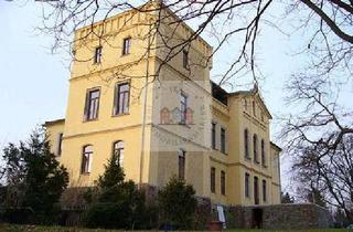 Wohnung kaufen in 04668 Grimma, Wohnen und Arbeiten wie im Märchen
