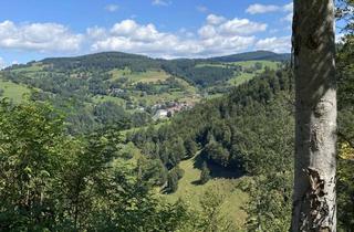 Wohnung mieten in 79685 Häg-Ehrsberg, DG-Wohnung für Individualisten mit großem Balkon und EBK in Häg-Ehrsberg