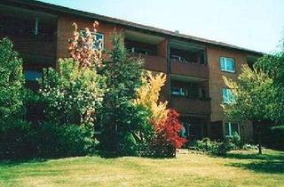 Wohnung mieten in Friedrich-Ebert-Straße 74, 23909 Ratzeburg, Frisch renovierte 3-1/2-Zimmer-Wohnung auf dem St. Georgsberg