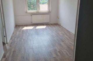 Wohnung mieten in Mühlenweg 15, 17258 Feldberger Seenlandschaft, Gemütliche 2-Zimmer-Wohnung in Feldberg