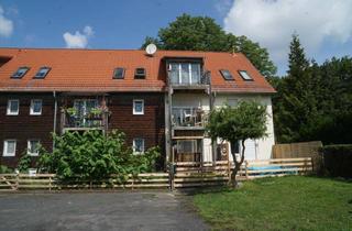 Wohnung mieten in Strasse Des Friedens 62, 99100 Zimmernsupra, Schöne 1-Zimmer-Wohnung mit EBK in Zimmernsupra