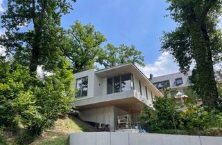 Haus mieten in 01324 Bühlau/Weißer Hirsch, * einzelstehendes, exklusives Gartenhaus im bekannten Lahmann-Sanatorium *