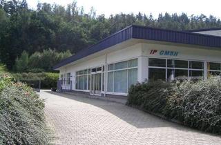 Büro zu mieten in 07980 Berga, Vielseitiges Gewerbe mit Büros geeignet für Ecommerce, Autohandel, Werkstatt und Produktionsflächen