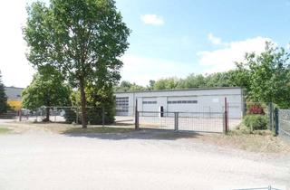Gewerbeimmobilie kaufen in 27412 Breddorf, Breddorf - ca. 685 m² freitragende Lagerhalle mit Büro, in 3 Hallenabschnitte geteilt