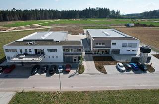 Gewerbeimmobilie kaufen in Hardstraße 14, 78194 Immendingen, Verwaltungsgebäude mit Werkstätten in Holzbauweise +++Eigennutzung+++