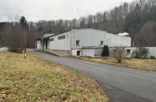 Büro zu mieten in 09518 Großrückerswalde, Lagerhallen bis 2.000m2 / teilbar ab 100m2 / Produktion / Büroflächen / zur Miete 2,00€ - 3,50 € qm