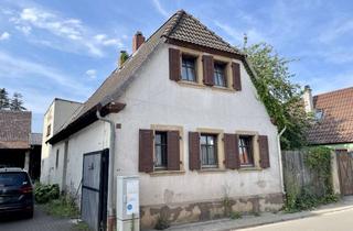 Grundstück zu kaufen in 67159 Friedelsheim, Großes Grundstück für Mehrfamilienhaus DHH oder EFH plus Gewerbe.