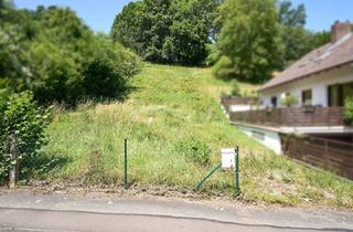 Grundstück zu kaufen in 37299 Weißenborn, Baugrundstück in idyllischer Lage im Werra-Meißner-Kreis