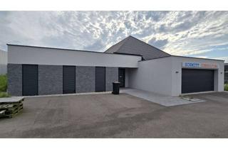 Gewerbeimmobilie kaufen in 76779 Scheibenhardt, Neubau mit Gewerbefläche – Grenznähe (Lauterbourg)