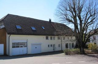 Gewerbeimmobilie kaufen in 79725 Laufenburg, ***Interessante Immobilie mit vielen Nutzungsmöglichkeiten***