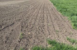 Gewerbeimmobilie kaufen in 86444 Affing, Ackerfläche ca. 9.200 m²