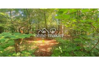 Grundstück zu kaufen in 21279 Wenzendorf, # TRAUM-BAUGRUNDSTÜCK IM WALD + KLEINES HAUS # HAMBURG NAH + OHNE PROVISION #