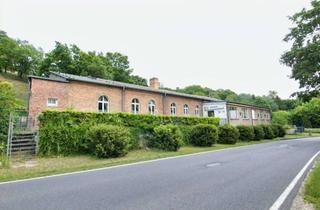 Gewerbeimmobilie kaufen in 16248 Oderberg, Historisches Gästehaus mit Naturbezug