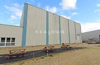 Gewerbeimmobilie mieten in 46395 Bocholt, EBENERDIG | RAMPEN | REGALIERT | 10 M UKB