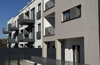Wohnung mieten in 53919 Weilerswist, Terrassenwohnung zur Miete