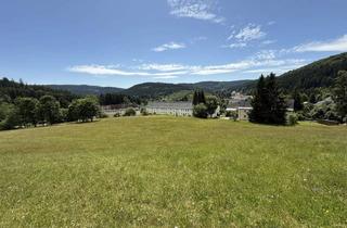 Wohnung mieten in Am Märzenberg 17, 08359 Breitenbrunn, Schöne 2-Zimmer-Wohnung in Breitenbrunn/Erzgebirge