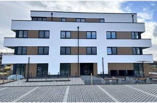 Wohnung mieten in Magnolienweg, 52388 Nörvenich, TOP ! Energieeffizientes und modernes Wohnen auf 3-Zimmern in Nörvenich
