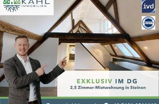 Wohnung mieten in 79585 Steinen, Exklusive Dachgeschoss-Wohnung im Herzen von Steinen